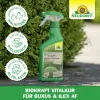 NEUDORFF® BioKraft Vitalkur Buxus Ilex AF anwendungsfertig - 500 ml