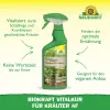 NEUDORFF® BioKraft® Vitalkur für Kräuter AF anwendungsfertig - 500 ml