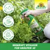 NEUDORFF® BioKraft® Vitalkur für Kräuter AF anwendungsfertig - 500 ml