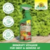 NEUDORFF® BioKraft® Vitalkur für Obst Gemüse AF anwendungsfertig - 500 ml