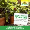 NEUDORFF® BioKraft® Vitalkur für Obst Gemüse AF anwendungsfertig - 500 ml