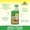 NEUDORFF® BioKraft Vitalkur für Obst und Gemüse - 300 ml