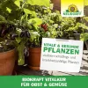 NEUDORFF® BioKraft Vitalkur für Obst und Gemüse - 300 ml