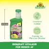 NEUDORFF® BioKraft® Vitalkur für Rosen Konzentrat - 300 ml