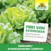 NEUDORFF® Ferramol® Schneckenkorn compact Extrem regenfest - 700 g