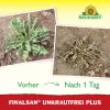 NEUDORFF® Finalsan® Konzentrat UnkrautFrei Plus - 1000 ml x 3