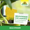 NEUDORFF® Gelb-Sticker zur Bekämpfung fliegender Schädlinge - 10 Sticker x 2