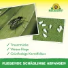 NEUDORFF® Gelb-Sticker zur Bekämpfung fliegender Schädlinge - 10 Sticker x 3