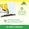 NEUDORFF® Gelb-Sticker zur Bekämpfung fliegender Schädlinge - 10 Sticker x 3