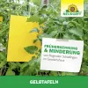 NEUDORFF® Gelbtafeln Großformat 25 x 32 cm - 5 Tafeln