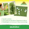 NEUDORFF® Gelbtafeln Kleinformat 7,5 x 20 cm - 21 Tafeln