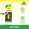 NEUDORFF® Gelbtafeln ohne Insektizide - 7 Tafeln