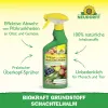 NEUDORFF® Grundstoff Schachtelhalm für Obst & Gemüse - 500 ml