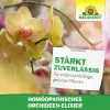NEUDORFF® Homöopathisches Orchideen-Elixier anwendungsfertig - 500 ml