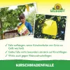 NEUDORFF® Kirschmadenfallen - 7 Fallen