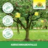 NEUDORFF® Kirschmadenfallen - 7 Fallen