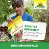 NEUDORFF® Kirschmadenfallen - 7 Fallen