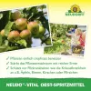 NEUDORFF® Neudo®-Vital Obst-Spritzmittel 250 ml x 2