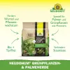 NEUDORFF® NeudoHum® BIO Grünpflanzen- & Palmenerde torffrei - 10 Liter