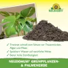 NEUDORFF® NeudoHum® BIO Grünpflanzen- & Palmenerde torffrei - 10 Liter