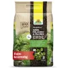 NEUDORFF® NeudoHum® Grünpflanzen- & Palmenerde torffrei - 3 Liter