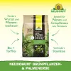 NEUDORFF® NeudoHum® Grünpflanzen- & Palmenerde torffrei - 3 Liter