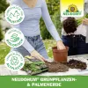 NEUDORFF® NeudoHum® Grünpflanzen- & Palmenerde torffrei - 3 Liter