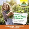 NEUDORFF® NeudoHum® Tomaten- und Gemüseerde - 40 Liter