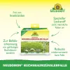 NEUDORFF® Neudomon® BuchsbaumzünslerFalle für bis zu 200 m² - 1 Set