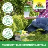 NEUDORFF® Neudomon® BuchsbaumzünslerFalle für bis zu 200 m² - 1 Set
