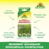 NEUDORFF® Neudomon® BuchsbaumzünslerFalle Nachfüllpack - 2 Lockstoffdepots x 3