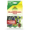 NEUDORFF® Neudomon® PflaumenmadenFalle Nachfüllpack - 1 Set