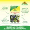 NEUDORFF® Neudomon® PflaumenmadenFalle Nachfüllpack - 1 Set