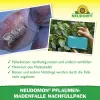 NEUDORFF® Neudomon® PflaumenmadenFalle Nachfüllpack - 1 Set