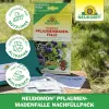 NEUDORFF® Neudomon® PflaumenmadenFalle Nachfüllpack - 1 Set