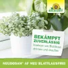 NEUDORFF® Neudosan® AF Neu Blattlausfrei anwendungsfertig - 250 ml