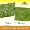 NEUDORFF® RasenDünger Moos- & Unkrautstopp für ca. 50 m² - 2,5 kg