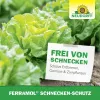 NEUDORFF® Schnecken-Schutz - 2 x 4 Meter