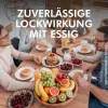 Nexa Lotte® Fruchtfliegen-Falle mit 10 ml Lockstoff