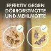Nexa Lotte® Lebensmittel-Motten Falle - 2 Stück