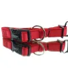 Nobby® Hunde Halsband Classic Preno Rot Größe S - M