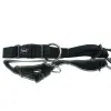 Nobby® Hunde Halsband Classic Schwarz Größe S - M
