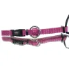 Nobby® Hunde Halsband Classic Himbeere Größe XS - S