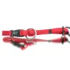 Nobby® Hunde Halsband Classic Rot Größe XS - S