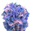 Nobby® Hunde + Katzen Schnüffelball COLORE M Ø ca. 15 cm - Polyester