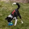 Nobby® Hunde Latex Fußball L mehrfarbig 12 cm