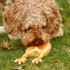 Nobby® Hunde Latex Hähnchen M 26 cm