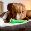 Nobby® Hunde Latex Lulatsch Krokodil grün 18 cm