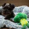 Nobby® Hunde Plüsch Broccoli 25 cm