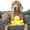 Nobby® Hunde Spielzeug Plüsch Ente Daggi Gelb 20 cm